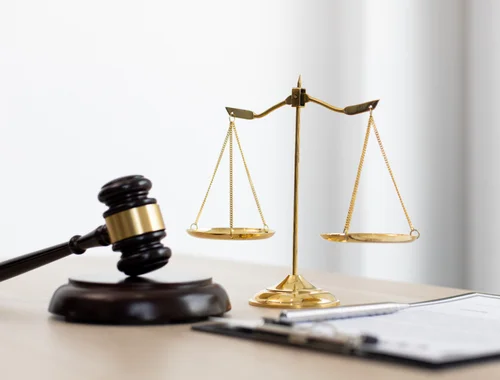 Advocate/Lawyer